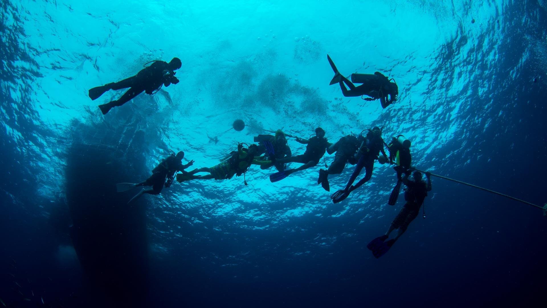 Master Scuba Diver Padi